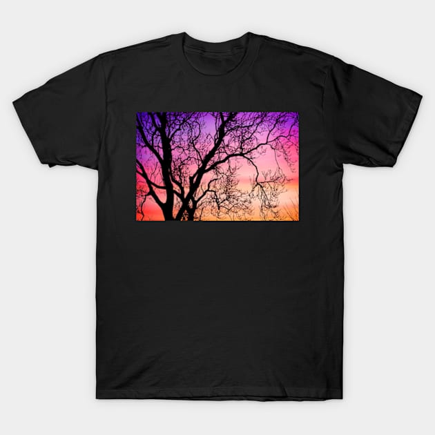 Ash Tree Sunset T-Shirt by heidiannemorris